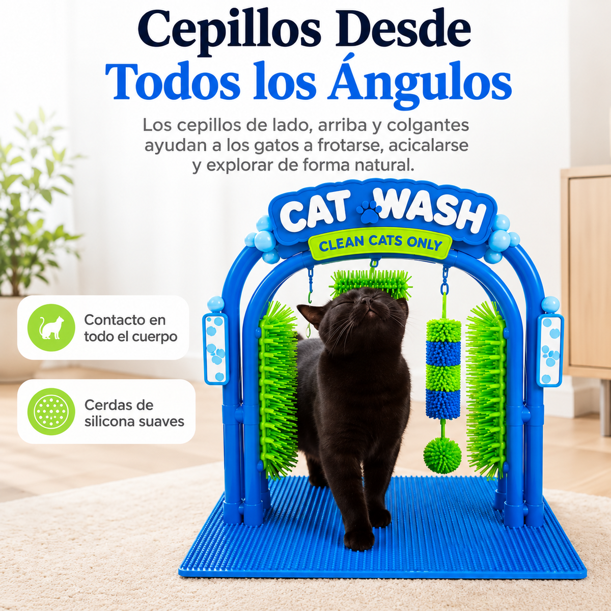 Estación autolavado para gatos